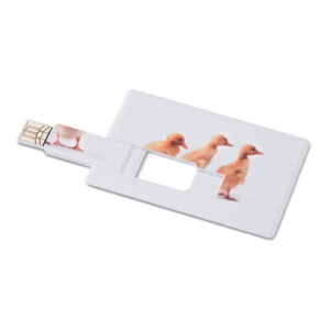 USB MEMORAMA 16GB, kreditna kartica