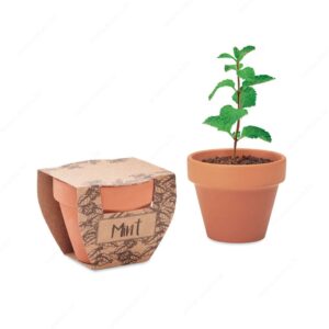 MO2218-40 Biljka MINT POT sjeme mente u posudi od terakote