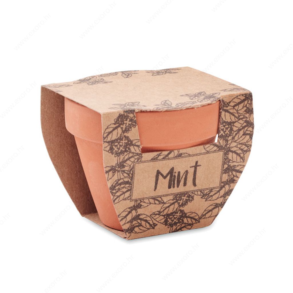 MO2218-40 Biljka MINT POT sjeme mente u posudi od terakote