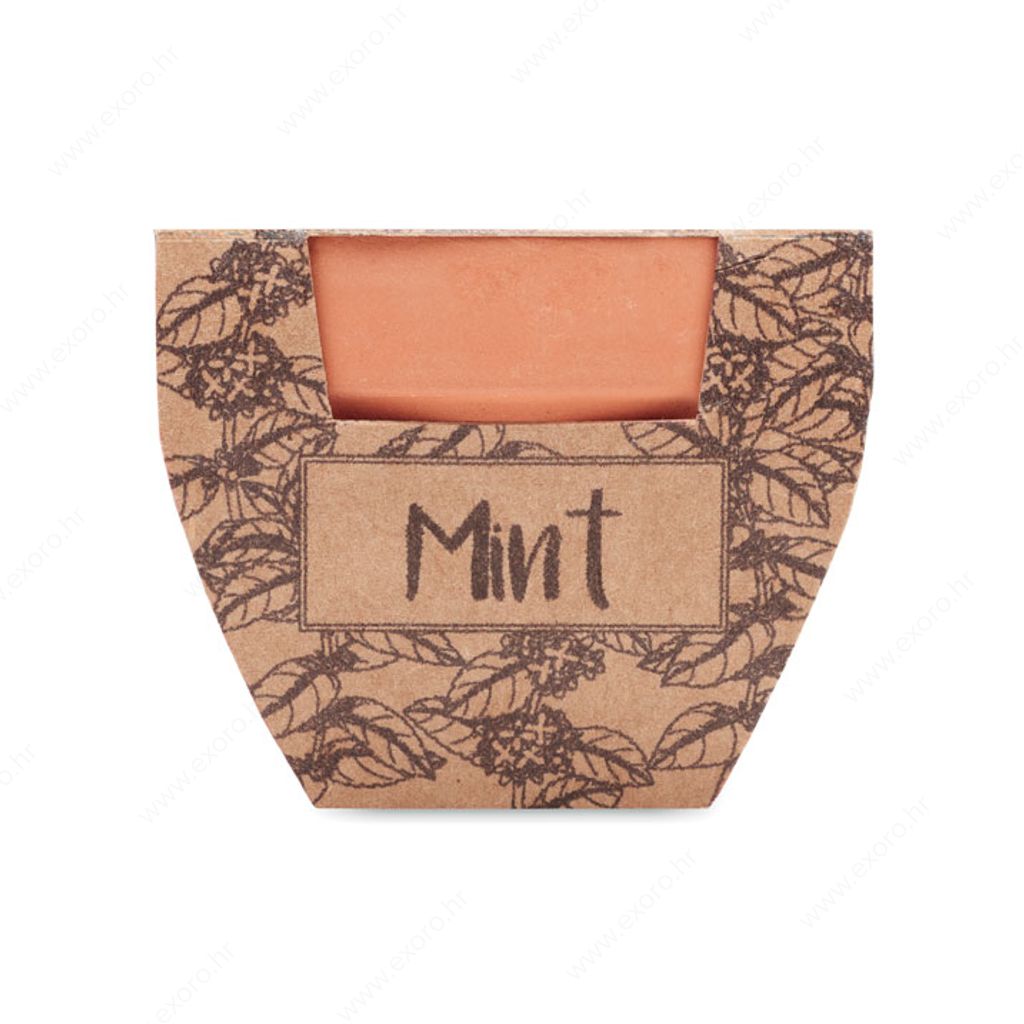 MO2218-40 Biljka MINT POT sjeme mente u posudi od terakote