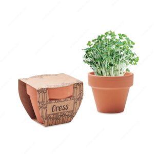 MO2219-40 Biljka CRESS POT sjeme kresa u posudi od terakote