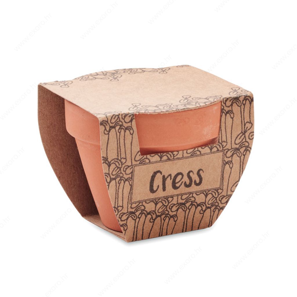 MO2219-40 Biljka CRESS POT sjeme kresa u posudi od terakote
