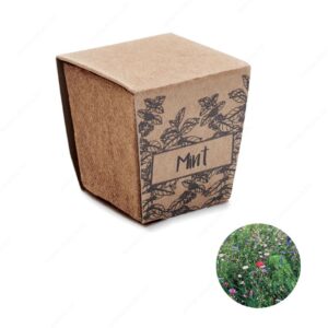 MO2410-13 Biljka MINT KIT set za uzgoj mente