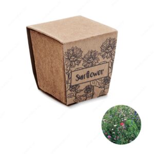 MO2411-13 Biljka SUNFLOWER KIT set za uzgoj suncokreta