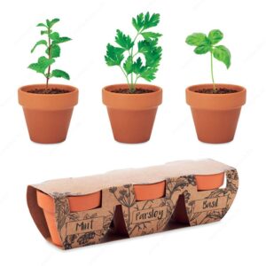 Biljke FLOWERPOT sjeme mente/peršina/bosiljka u posudama od terakote