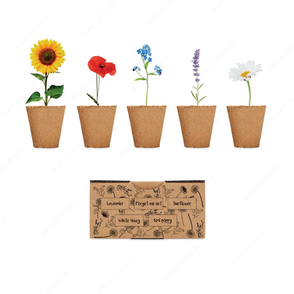 MO6500-13 Cvijeće za uzgoj u setu FLOWERS natur