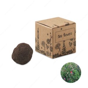 MO6909-13 Biljka BOMBI II pčelinji cvijet u kutiji natur